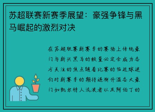 苏超联赛新赛季展望：豪强争锋与黑马崛起的激烈对决